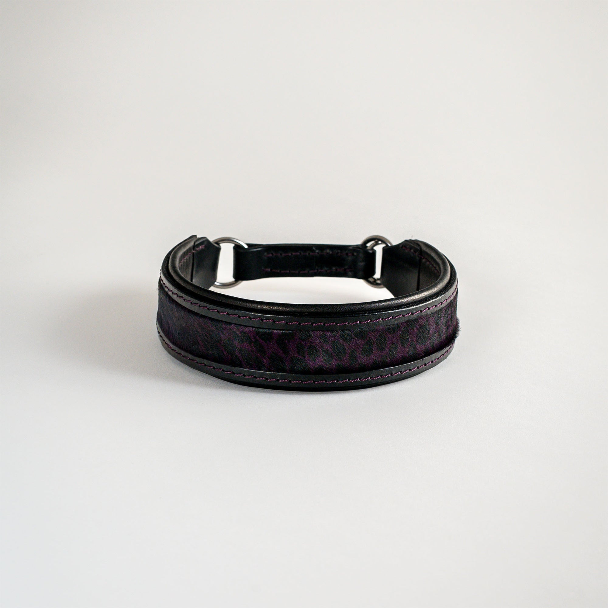 Königszug - Limited Luxury Edition 2026