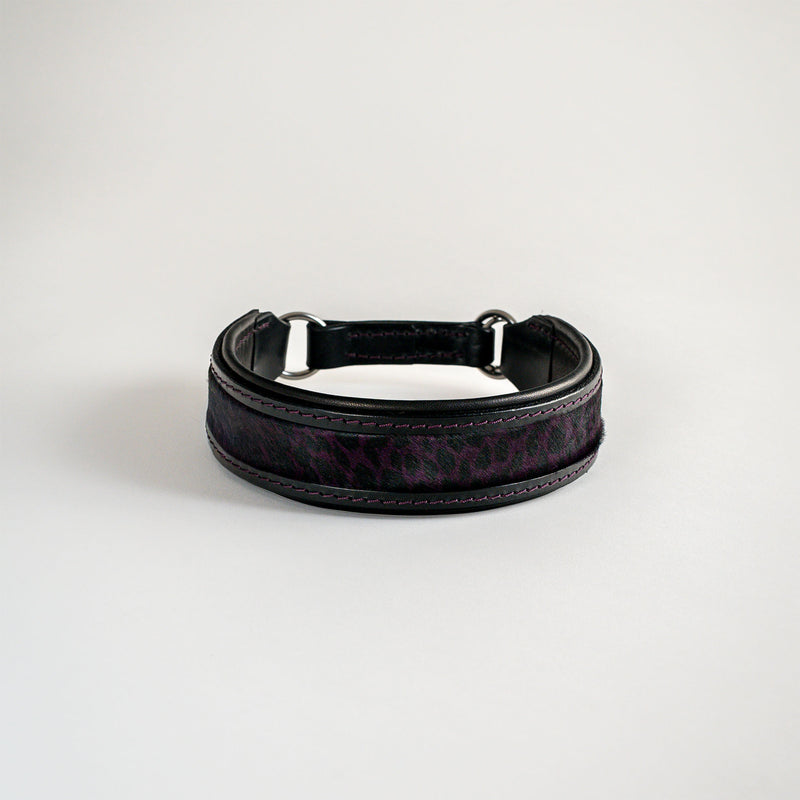 Königszug - Limited Luxury Edition 2026