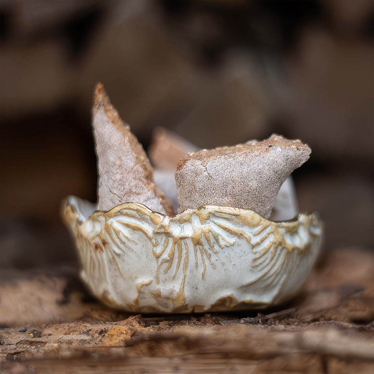 Amaranth-Blaubeer-Vanille-Keks 200g