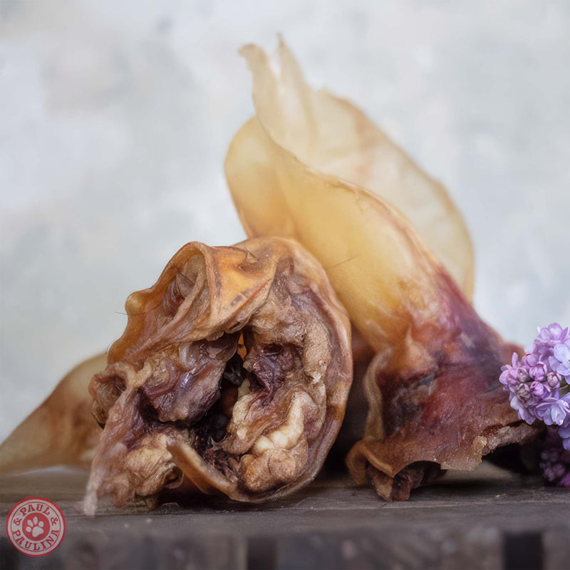 XXL Rinderohren 5 Stk.